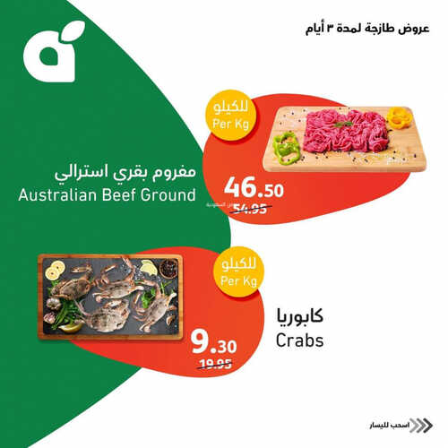 عروض بنده