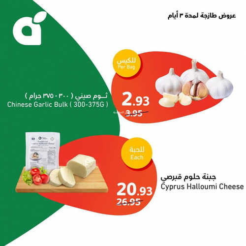 عروض بنده